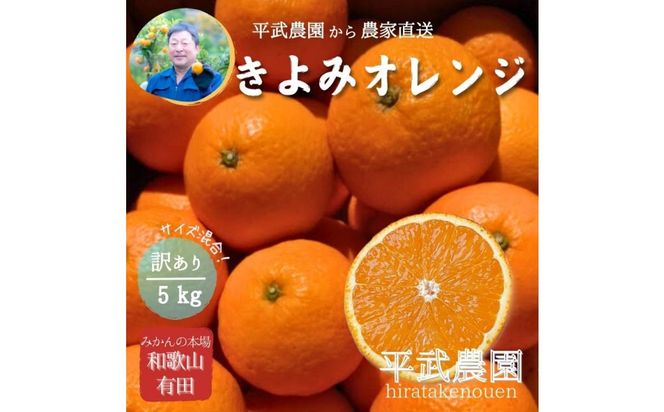 農家直送！きよみオレンジ 5kg 訳あり≪サイズ混合≫［平武農園］～蛍飛ぶ町から旬の便り～［2026年3月下旬から順次発送予定］ BX22