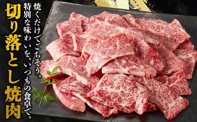 ＜宮崎牛 切落し焼肉1kg（500g×2）＞入金確認後、1～3か月以内に順次出荷【 国産 黒毛和牛 牛肉 牛 精肉 赤身 ブランド牛 ちょっと豪華 毎日の食卓 プチ贅沢 ご褒美 旨味 普段使い アレンジ自由 炒め物 煮物 お料理 切り落とし ミヤチク 宮崎県 】【b0986_my_x1】