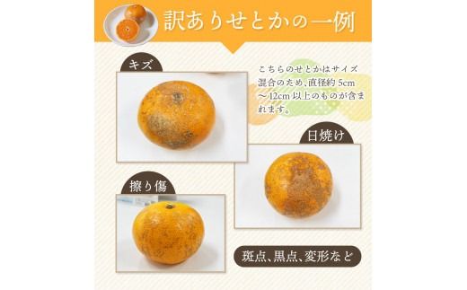 訳あり せとか 約3.5kg＋200g (傷み補償分)  大小混合 【2027年2月下旬から順次発送】 ご家庭用 家庭用 わけあり 訳アリ  みかん ミカン フルーツ 果物 くだもの 柑橘 せとか 蜜柑 人気 予約 先行予約 数量限定【njb682B】