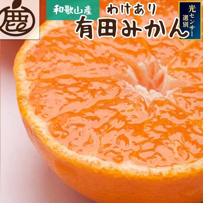 家庭用 熟成みかん2.5kg+250g（傷み補償分） CZ028