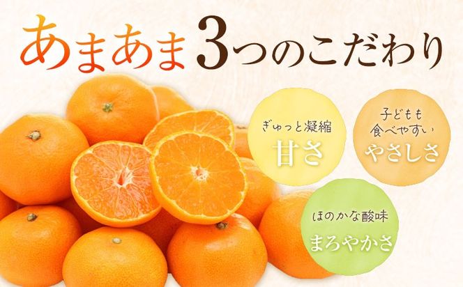 雨よけ完熟みかん「あまあま」選べる内容量 約2.2kg  正木　久之《12月下旬-1月中旬》徳島県 佐那河内村 みかん ミカン 蜜柑 柑橘 箱入り 化粧箱 フルーツ 果物 くだもの 贈答【配送不可地域あり】※離島不可---sanagouchi_mhy_1_1hk---