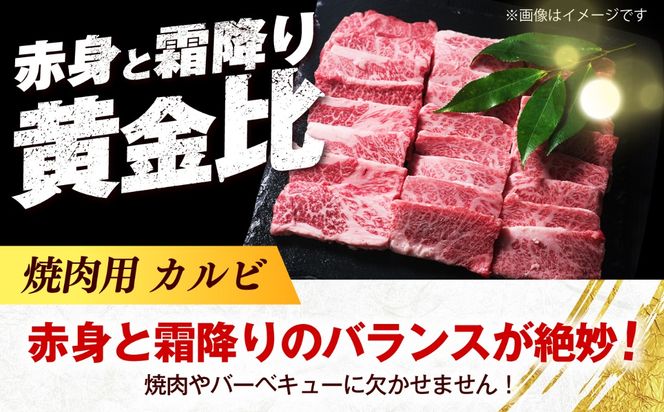 博多和牛 牛肉 焼き肉 バラ （カルビ） 500g 《築上町》【肉のくまもと屋】[ABEZ073]