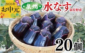 099H4104t 【お中元対応】泉州 泉佐野市産 ハウス水なす 20個【茄子 泉佐野産 とれたて 新鮮野菜 やさい 高評価】