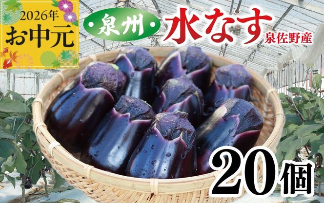 099H4104t 【お中元対応】泉州 泉佐野市産 ハウス水なす 20個【茄子 泉佐野産 とれたて 新鮮野菜 やさい 高評価】