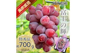 ぶどう 2026年 先行予約 話題の品種 富士の輝 1房詰め 特秀ランク 700g以上 特秀 葡萄 岡山県産 国産 フルーツ 果物 ギフト 【 Nini farm 農家 直送 】 [№5735-3483]