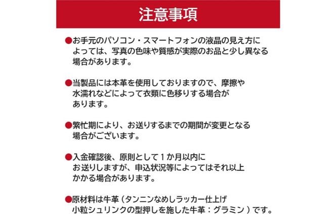 【色が選べる】靴職人が作るグラスケース 【0062-028】