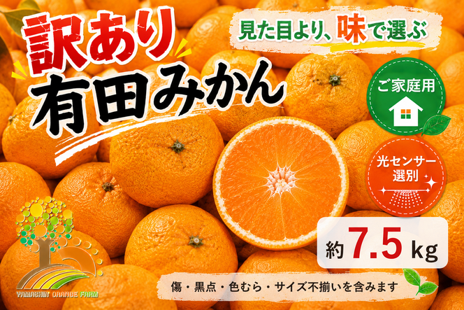 【訳あり】有田みかん 7.5kg | 農家直送 訳あり ご家庭用 サイズ混合 光センサー選別 温州みかん みかん 訳あり わけあり 家庭用
