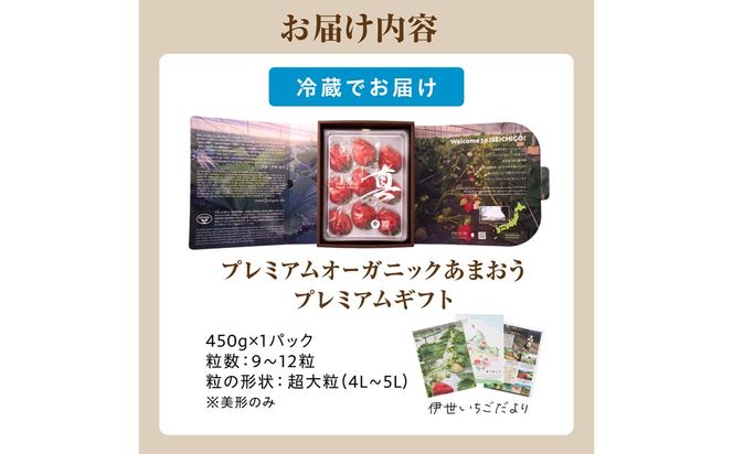 【先行予約】プレミアムオーガニックあまおう 「いせいちご」 プレミアムギフト【伊世いちご畑】_HA0481