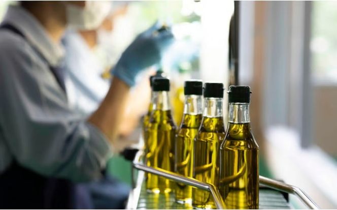 オリーブオイル 有機栽培 エキストラバージン オリーブ オイル シングル 2本 セット オーガニック 調味料 油 オリーブ油 食用油 ギフト [№5735-0336]