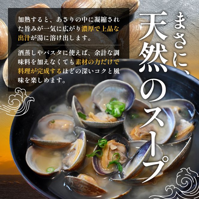 あさり【4月～6月発送】北海道 厚岸町産 天然 殻あさり(大)  500g×1　【厚岸漁業協同組合】[ アサリ 貝 味噌汁 酒蒸し 混ぜご飯 ] 