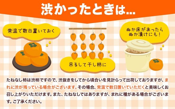 ＜10月より発送＞たねなし柿 選べる 約1kg 約2.5kg 約5kg 約7.5kg 約10kg 刀根早生 平核無柿 ひらたねなしかき 池田鹿蔵農園《10月上旬-12月上旬頃出荷》 和歌山県 日高町 柿 カキ かき たねなし ジューシー フルーツ 種無柿 種無し柿 種なし柿 無核柿---wsh_idn366_10j12j_26_8000_1kg---