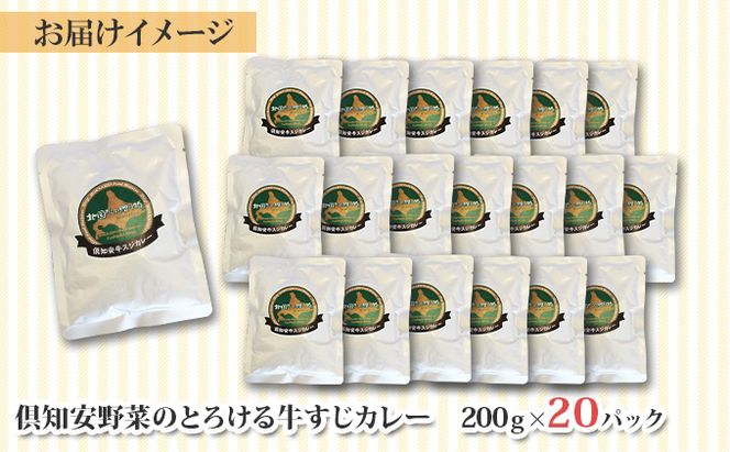 北海道 倶知安 牛すじカレー 200g 20個 中辛 レトルト食品 加工品 時短 牛すじ 野菜 じゃがいも お取り寄せ グルメ 詰め合わせ【お肉・牛肉・加工食品・惣菜】 