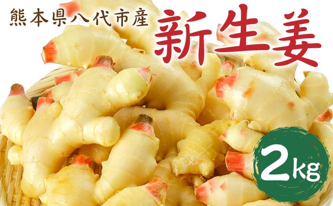 yF{szys\z F{sY VI2kg Gߌ 傤 VEK K WW[  Hi  ₦΍ { y2026N9{菇z