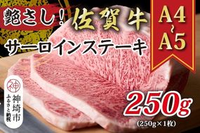 艶さし！【A4～A5】佐賀牛サーロインステーキ 250g(250g×1枚)【肉 牛肉 ブランド牛 黒毛和牛 ステーキ肉 ふるさと納税】(H112104)
