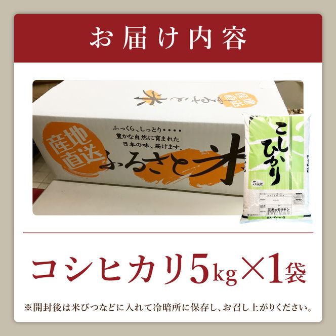 R7年産取手市産コシヒカリ 玄米5kg|お米 米 こしひかり コシヒカリ 玄米 茨城県 取手市（BS003）