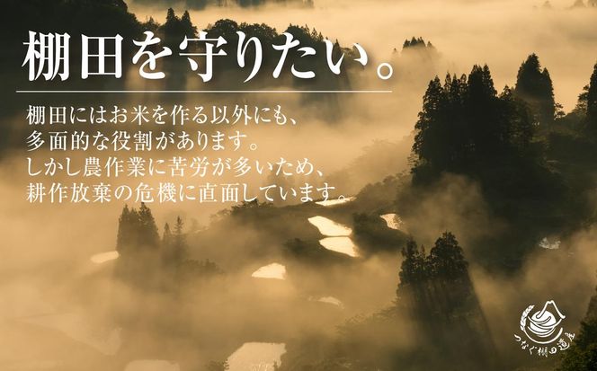 玄米5kg 令和7年産新潟県十日町市魚沼産コシヒカリ「つなぐ棚田米」 米 こしひかり 玄米 十日町市