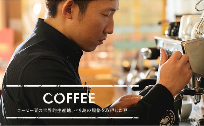 【家カフェ向け浅煎りコーヒーセット】バリ島浅煎り（粉）200グラム・猫と海コーヒー（浅煎りブレンド）（粉）200グラム（各5袋） 1セット コーヒー豆 珈琲豆 浅煎り 焙煎 コーヒー 珈琲 インドネシア産 ブラジル産 グアテマラ産 エチオピア産 バリ島産 ドリップコーヒー スペシャルティコーヒー 家カフェ 香川県 372013_MC143