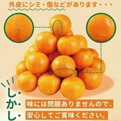 【訳あり】人気の柑橘室戸産ポンカン２.５㎏　rk007