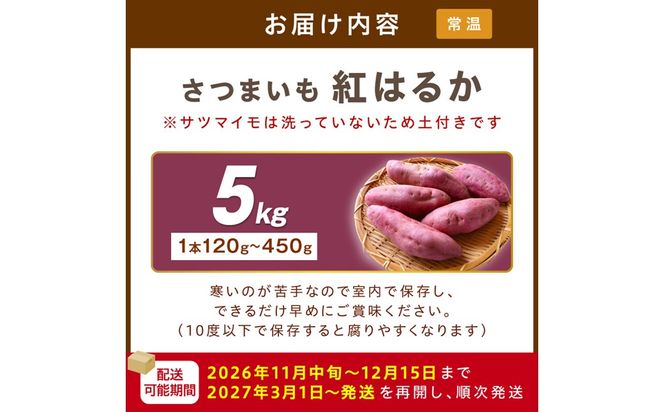 【先行予約】さつまいもオブザイヤー紅はるか部門全国1位 京都・ 丹後産　さつまいも 紅はるか　土付き（1本120〜450g程度）5kg　京都 丹後 ふるさと納税 さつまいも サツマイモ ふるさと納税 野菜 　TF00068