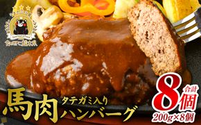 FN タテガミ入り 馬肉 ハンバーグ ( デミソース ) 8個 セット 合計約1.6kg 200g×8個 デミグラスソース ハンバーグ 馬肉 惣菜 おかず 馬肉 タテガミ 真空パック 冷凍