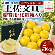 土佐文旦 贈答用化粧箱 5kg 大玉 日本ギフト大賞受賞 文旦発祥の地 園主こだわり ギフト 贈り物 寒中見舞い お祝い 自分へのご褒美 高知県土佐市産 高知県産 国産 5キロ ぶんたん みかん 柑橘類 高級フルーツ 果物 産地直送 お取り寄せ 季節限定 先行予約 やの一果彩[BQAC005]