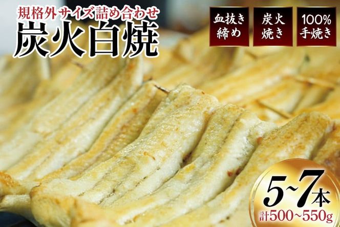 うなぎ 国産 訳あり 白焼 血抜き締め 500～550g セット 5～7本程度 [ヤママツ村田商店 静岡県 吉田町 22424596-b] 鰻 ウナギ unagi 白焼き うなぎ白焼 鰻白焼 炭火焼 冷凍 規格外