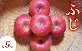 【2026年11月～発送】ふじ 約5kg りんご リンゴ 林檎 果物 フルーツ 長野県 長野 山ノ内町