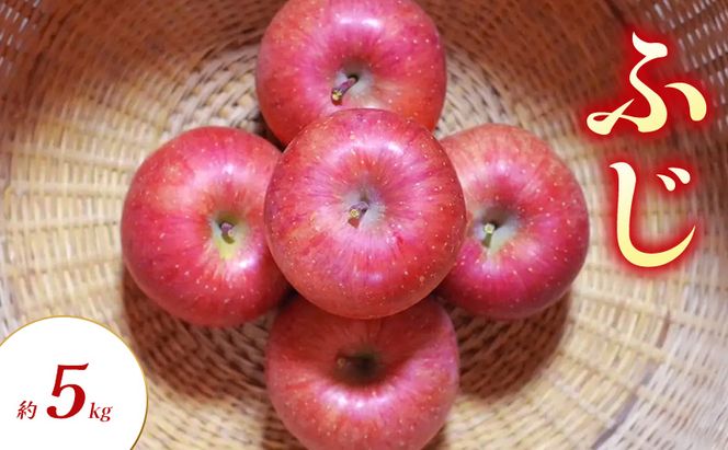 【2026年11月～発送】ふじ 約5kg りんご リンゴ 林檎 果物 フルーツ 長野県 長野 山ノ内町