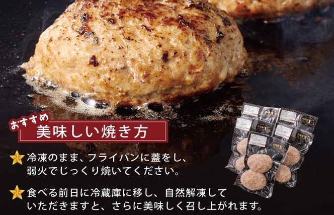 099Z552 【泉佐野ブランド豚】犬鳴豚の手作りプレミアムハンバーグ（10個入り）×3回【国産 豚肉 ぶたにく 定期便 犬鳴ポーク 普段使い】