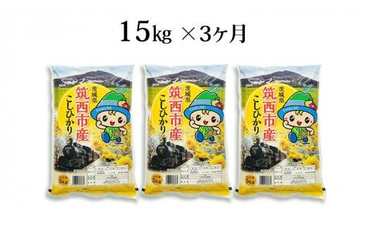 【 定期便 3ヶ月 】 茨城県筑西市産 コシヒカリ15kg 三ツ星 マイスター 米 コメ コシヒカリ こしひかり 茨城県 単一米 精米 新生活 応援 [CH016ci]