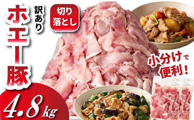 �y�{�茧���юs�z�y�������ʌ���z�z�G�[�� �؂藎�Ƃ� 4.8kg�i300g×16�� �ؓ� �� �؂藎�Ƃ� ���ܐ؂� ���Ԑ؂� ������ ����Ԃ���ԁj