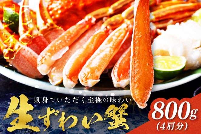 鮮度抜群！お刺身でも食べられる！カット生ズワイガニ 4肩分　 YK00418