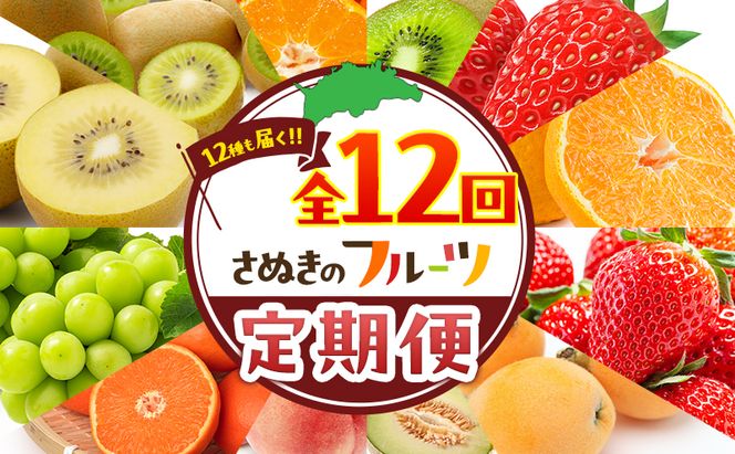 フルーツ定期便 果物 定期便 全12回 香川県産 国産 讃岐 香緑キウイ さぬきひめ苺 いちご デコポン びわ メロン 桃 ぶどう シャインマスカット さぬきキウイっこ 小原紅早生みかん みかん 毎月お届け くだもの 五色青果 香川県 東かがわ市