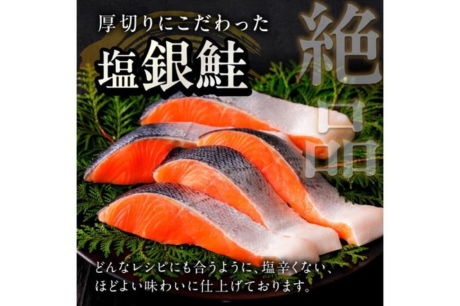 お手軽！絶品！厚切り 塩銀鮭切身 約2kg（プロトン凍結　訳あり　不揃い）　YK00316