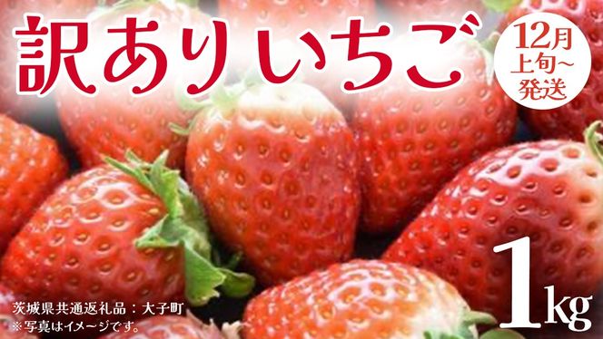 y錧vsz󂠂  1kgy2025N12{Jnz(錧ʕԗiFq)  ʕ t[c ʎ ƒp