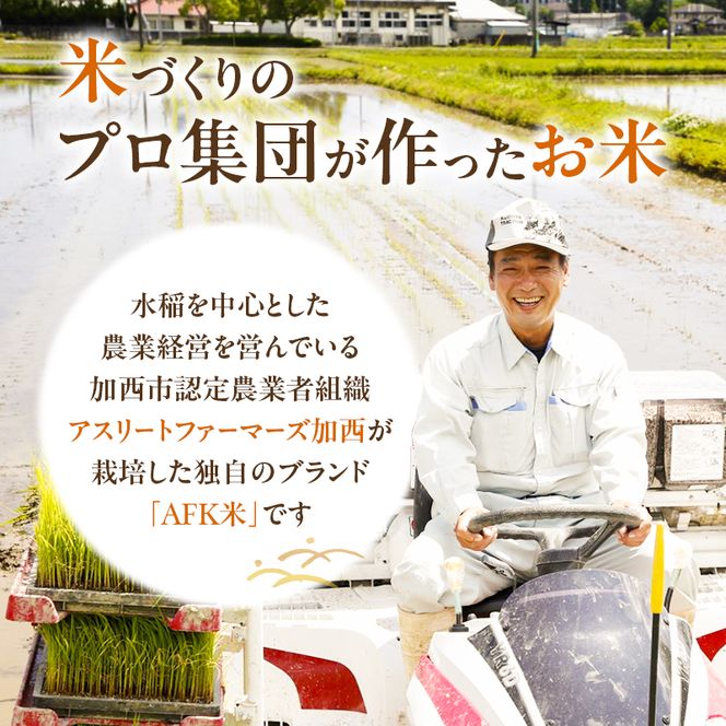 米 令和7年産 有機 ・ 減農薬栽培米 キヌヒカリ 白米 4kg（2kg×2） お米 精米 単一品種 単一原料米 国産 兵庫県産