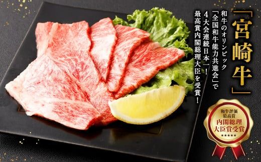 ＜宮崎牛 肩ロース焼肉 500g＞翌月末迄に順次出荷【c1308_mc】 牛肉 和牛 黒毛和牛 4等級以上 ブランド牛 肉 宮崎牛 肩ロース肉 肩ロース カタロース 焼肉