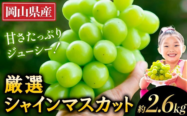 [2025年出荷先行予約] 厳選 シャインマスカット 約2.6kg [2025年9月上旬-11月中旬頃出荷予定(土日祝除く)] ぶどう マスカット フルーツ 先行予約 2025 果物 岡山 不揃い 晴王 ブドウ シャイン 先行予約 お手頃---ofn_cwsmx_ae911_25_25000_4---