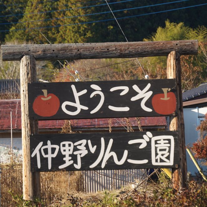 【先行予約】仲野りんご園の奥久慈りんご「サンふじ」約3kg（9～12玉）｜茨城県 大子町 樹上完熟 林檎 アップル 果物 フルーツ 旬 秋 味覚 ギフト 贈答（DF001）