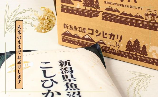 【令和7年産】魚沼産コシヒカリ金印(玄米)5kg 米 お米 こしひかり 玄米 中魚沼 新潟県 十日町市