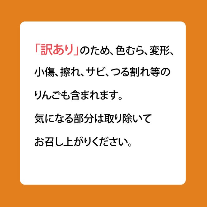【平均糖度13度以上】4月～5月 クール便発送 家庭用 訳あり CA貯蔵 シナノゴールド 約 3kg りんご リンゴ 林檎 果物 フルーツ わけあり 青森