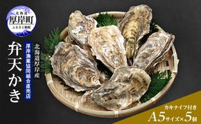 【2月から3月配送】北海道 厚岸産 殻かき 新ブランド弁天かき A5サイズ 特大サイズ 5個 牡蠣 魚貝類 生牡蠣 殻付き牡蠣 カキ