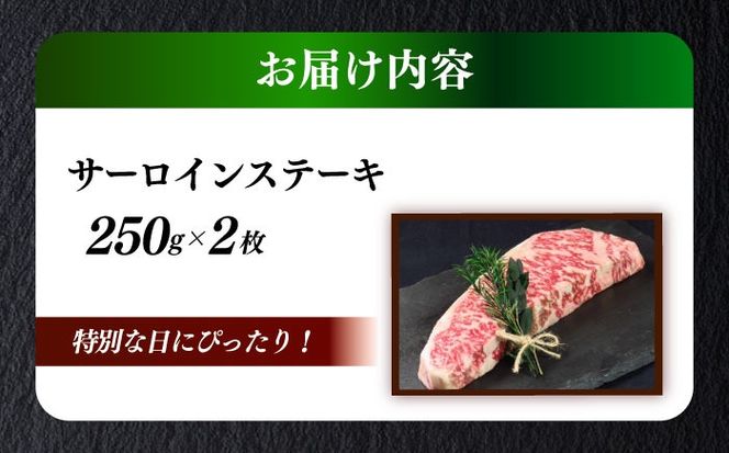 国産 博多和牛 A5ランク サーロイン ステーキ 250g × 2枚 雌 ≪築上町≫【KRAZY MEAT】 ステーキ 和牛 肉 BBQ[ABEN013]