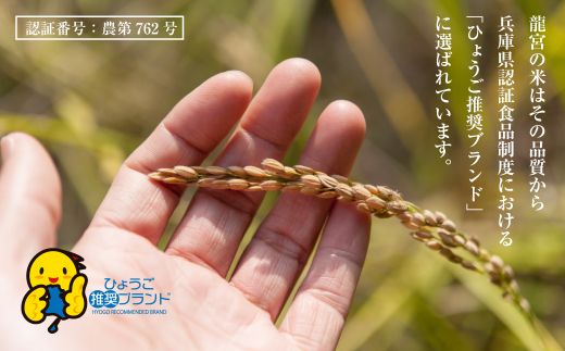 【定期便12ヶ月】龍宮の米 淡路島産 海藻肥料栽培米 5.0kg×12ヵ月