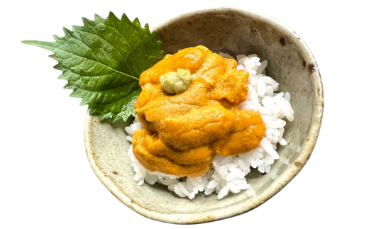 無添加塩水ウニパック（100g）×2個セット_HD069-007