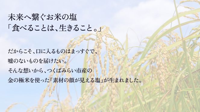 金の恵み米塩 MIRAI 米塩３本セット ソルト しお salt 食べ比べ 調味料 塩 セット 便利 料理 味付 アレンジ こだわり 天然 ミネラル 手づくり さかたの塩 おにぎり 米 コシヒカリ こしひかり 玄米 甘み 旨味
