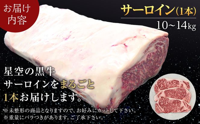北海道産 星空の黒牛 サーロイン 1本 10kg～14kg ステーキ【 肉 にく ニク 牛肉 牛肉赤身 赤身 牛肉セット バーベキュー 冷凍牛肉 贅沢牛肉 国産牛肉 北海道産牛肉 道産牛肉 簡単 お手軽 特製牛肉 標茶町 北海道 】 016641_AD017