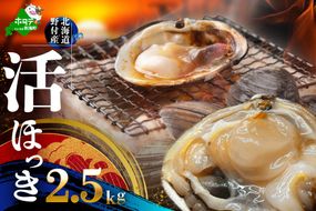 北海道 別海町産 活ホッキ 2.5kg【UY0000025】