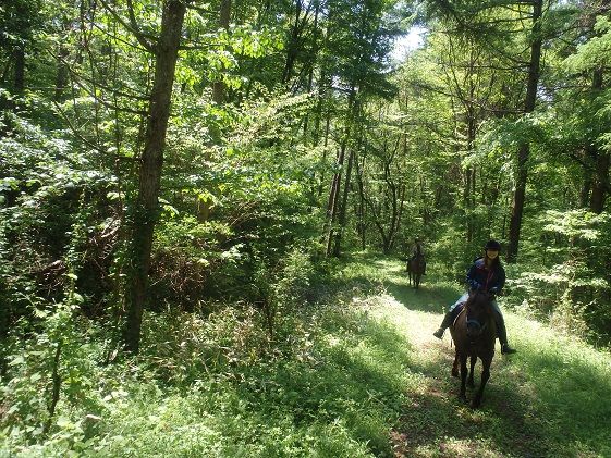 乗馬 体験 まきば軽井沢 どーんと150分 乗馬体験 1名様 長野 信州 小諸 大自然 体験チケット 