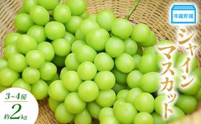 【2026年発送】冷蔵貯蔵 シャインマスカット 3～4房 約2kg ぶどう ブドウ 葡萄 マスカット 果物 フルーツ 長野県 長野 山ノ内町